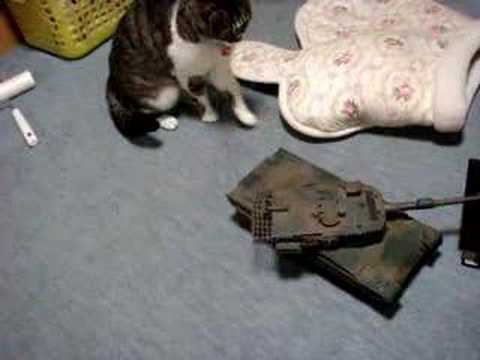 戦車のラジコンに興味津々の猫Youtube(ユーチューブ・ゆーちゅーぶ)・Dailymotion動画