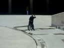 Dancing Wheelchair Man in the Park