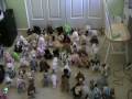 All My Webkinz And Webkinz Stuff