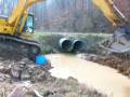 Blacksided Dace Stream Restoration Project