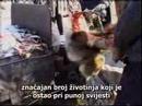Zabavno krzno 2/2 Zabavno krzno 2/2