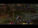 Herald of Xotli AoC PvP Weekend! Herald of Xotli AoC PvP Weekend!