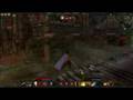 Herald of Xotli AoC PvP Weekend!