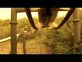 Alton Towers - Nemisis