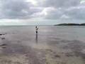 bone fish bonefish on the fly rod, my first