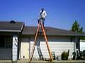 12 Foot Husky Ladder For Sale