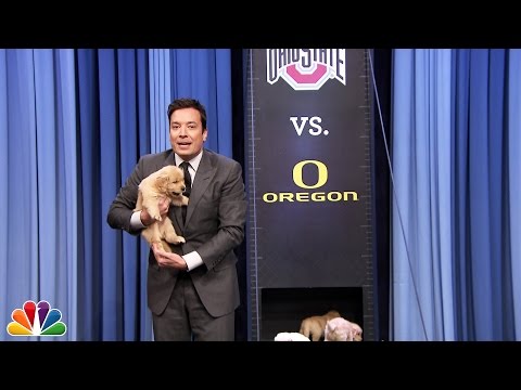Puppies Predict the 2015 College Football National Championship