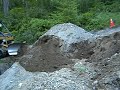 Pulling stump & backfill