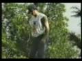 videos de funny accedents