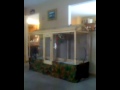 budgie homemade cage