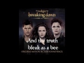 Passion Pit – Where I come from  Breaking Dawn Part 2