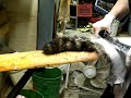 Fleshing a Coon