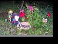 In Memory of Damion Michael Brinkley Dunn Oklahoma