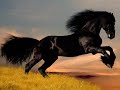 5 minuti d'Amore per il Mondo - 5 minutes of Love to our World.mpg