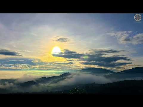 Tinh Hoa NIKAYA - Bí Quyết Diệt Tham Sân Si - Bản Ngã & Biết Ơn - Tôn Trọng