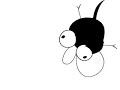 gaston le poux & la mouche