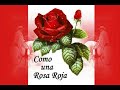 Los Morochucos - Como una rosa roja Los Morochucos - Como una rosa roja
