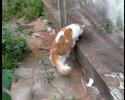 Tucha Maria (02)