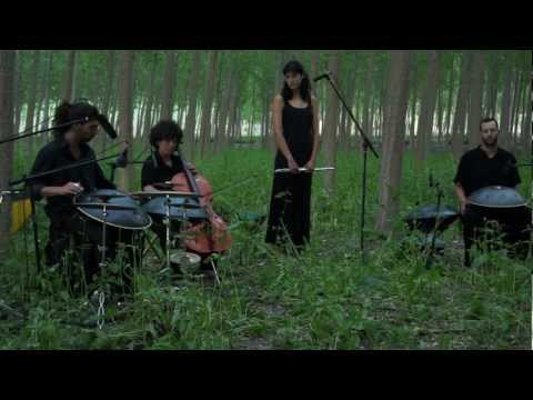 hang - tema del primer trabajo de Aikyo. Grupo musical en el que el Hang y el Bells son protagonistas acompañados a su vez por la Flauta y el Violonchelo. Aikyo son...