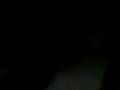 Cute Kittens but scarey ghost! (read description)
