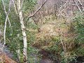 Another with Josephine Macdonald playing in the garden Thanks for listening...