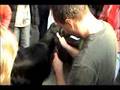 Уши английского кокер спаниеля Стрижка Grooming ears