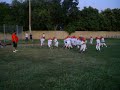 NFL Baby Backs