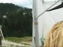 Dogajanje med nastopi harmonikarjev na Zelenem robu