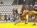 Freestyle amateur wrestling