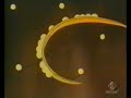 BALLO NEI CARTONI ANIMATI BALLO NEI CARTONI ANIMATI