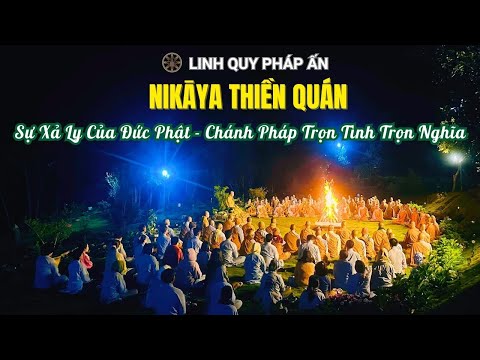 NIKAYA Thiền Quán - Sự Xả Ly Của Đức Phật - Chánh Pháp Trọn Tình Trọn Nghĩa *