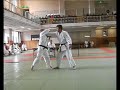 Goshin-Jutsu, the good bits