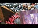 Maria Bucardi - wr�?ka, jasnowidz -Tarot Aniolow - wr�?by