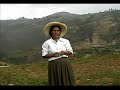 Experiencia en la producci�n de semilla de papa en Cajabamba