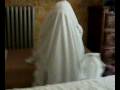 videos de Chiappe d'oro.mp4