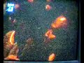 Penampakan hantu kepala di Medan