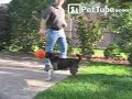 Cachorro jogando basketball