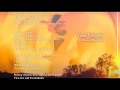 Diane Michelle video 1