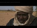 tinariwen documentary