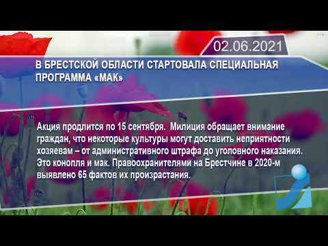 Новостная лента Телеканала Интекс 02.06.21.