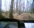 videos de Buggy alkaida abdulahmed3
