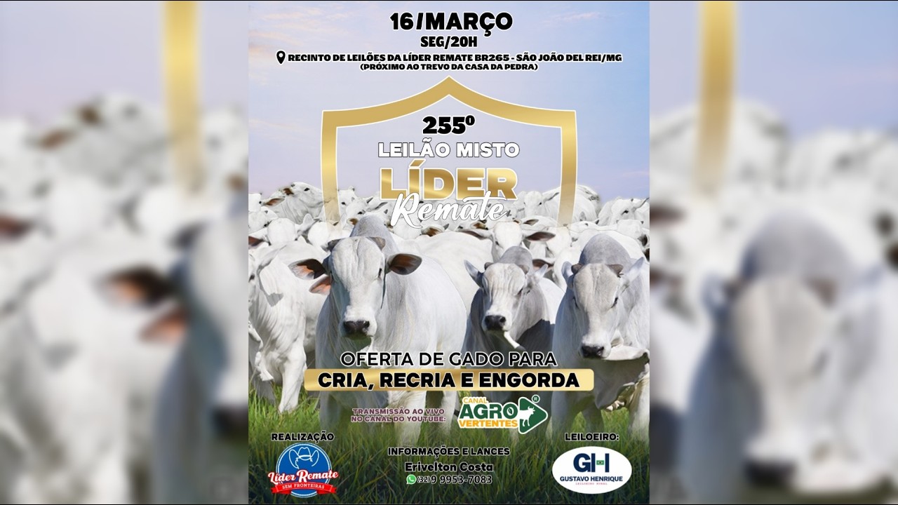 255º LEILÃO MISTO LÍDER REMATE - SÃO JOÃO DEL REI/MG - 16/03/2026