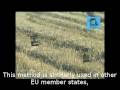 Trapping in EU Member States