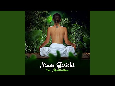 Massage Musik (Energie Zen)