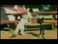 Trailer de BOLT en español