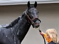 rip-eight-belles.html