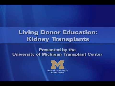 how to be a match for a kidney transplant