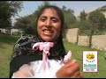 las chicas rosas y claveles - nuestra despedida las chicas rosas y claveles - nuestra despedida