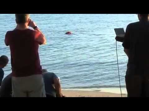 jackpotjoy bingo jackpotjoy bingo