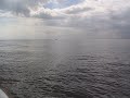 Tarpon Jump